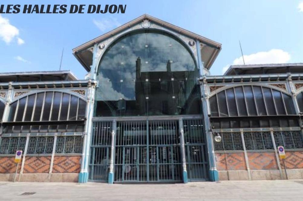 Le Refuge / Pied-A-Terre Pragmatique Lejlighed Dijon Eksteriør billede